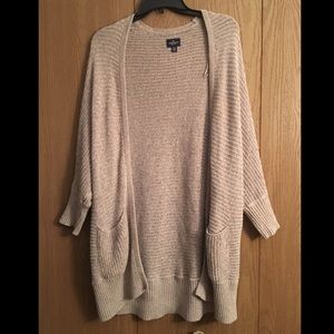 American Eagle Cardigan